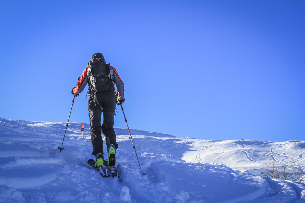 Photographic Snowshoe Walk