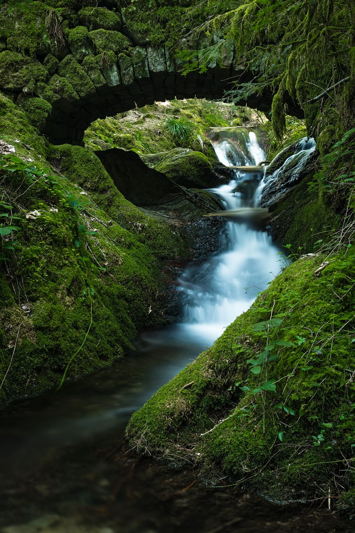 Schwarzwald