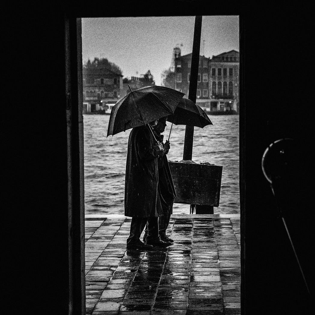 Venice V
