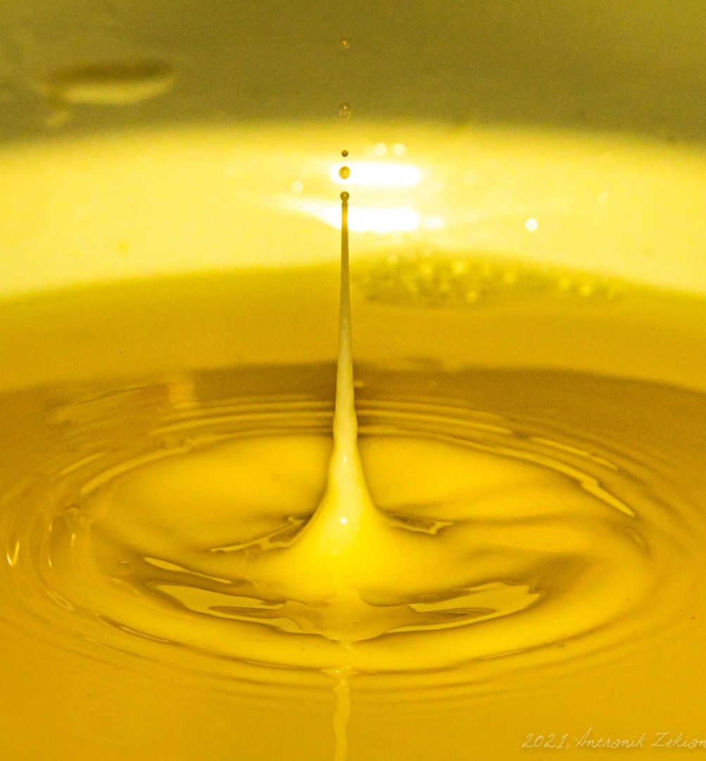 WaterDrop photography workshop - Let's Shoot!