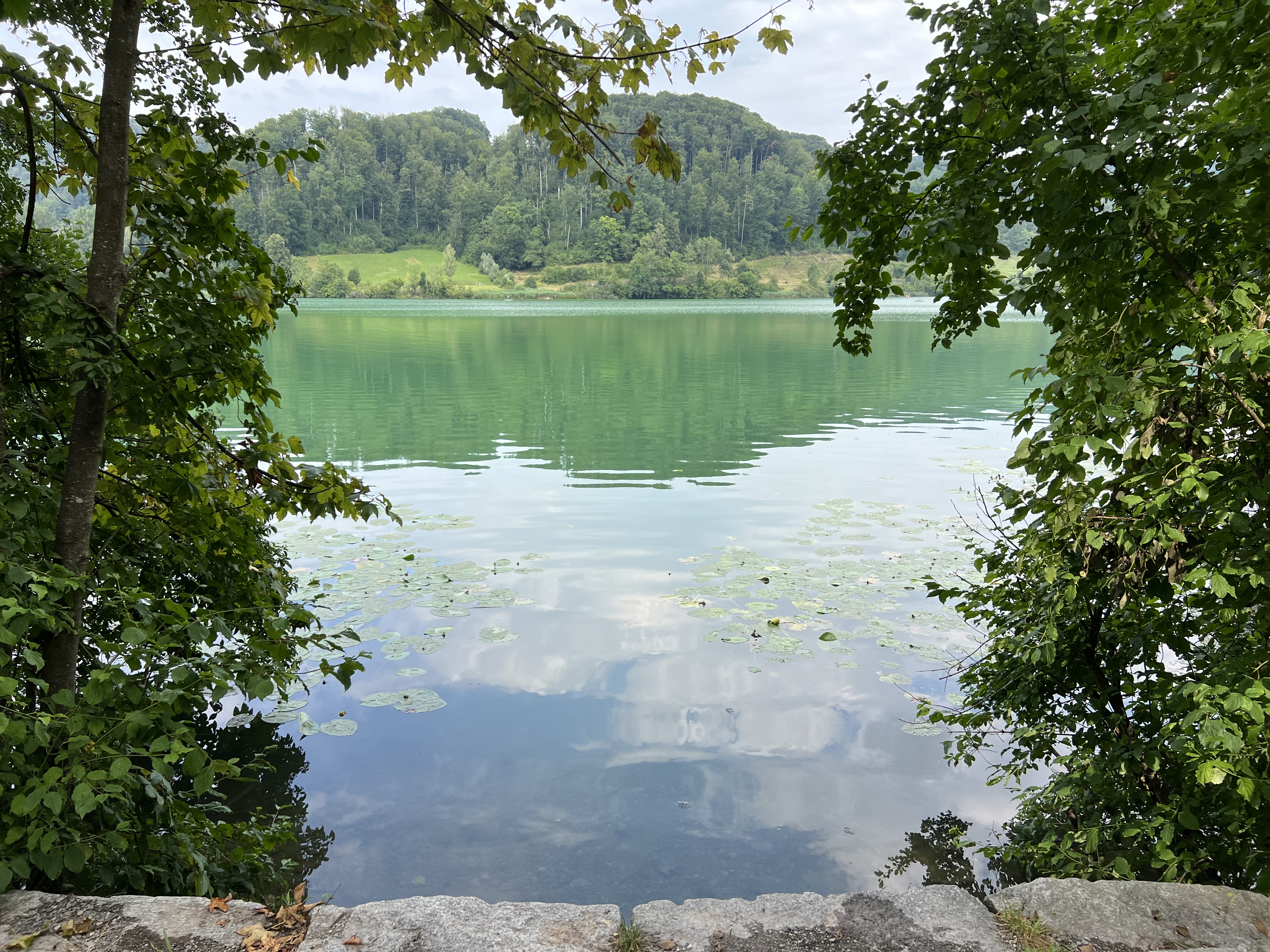 Sunrise photowalk at Lake Türlersee